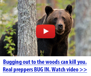 survivalmd.bugin.hop.clickbank.net