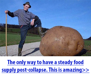 survivalmd.srvfarm.hop.clickbank.net