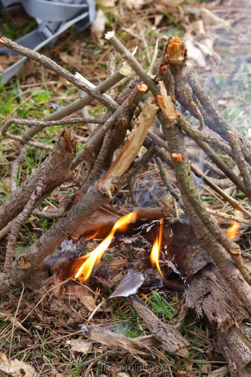 a burning fire in the woods